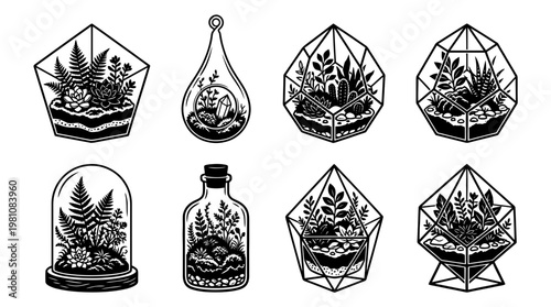 terrarium silhouette vector set