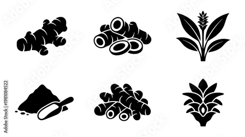 turmeric silhouette vector set