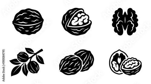 walnut silhouette vector set