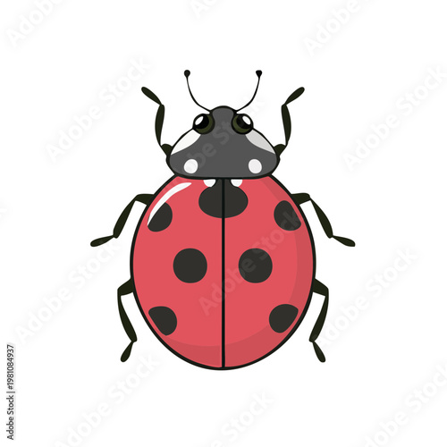 Cute cartoon ladybug insect with red spotted shell and black head illustration