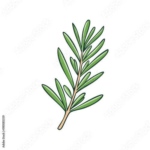 Stylized illustration of a single fresh green rosemary sprig with detailed leaves and stem