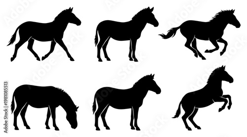 zebra silhouette vector set