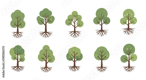 Simplified Trees: A collection of various simplified green trees, each with visible roots, standing in a neat row.