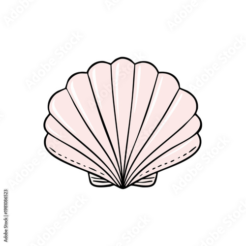 Delicate Pink Scallop Shell Illustration with Thin Black Outline and Subtle Ribbing