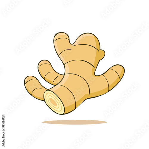 Cartoon ginger root with stubby fingers and texture lines isolated on white background