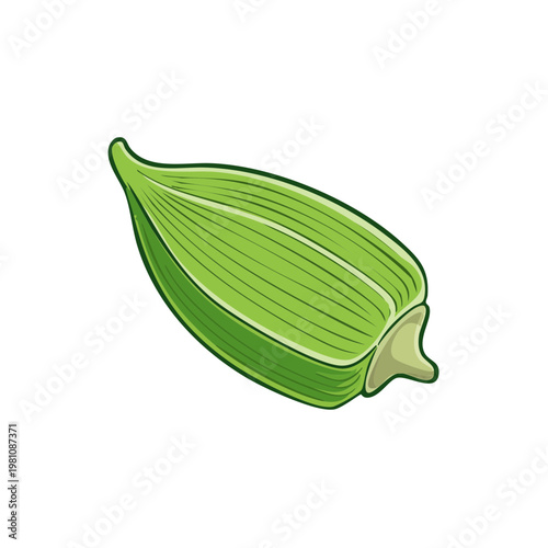 Vibrant green okra pod illustration simple line art healthy vegetable for cooking and nutrition