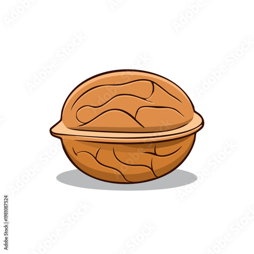 Hand-drawn illustration of a whole walnut with its textured shell and characteristic grooves