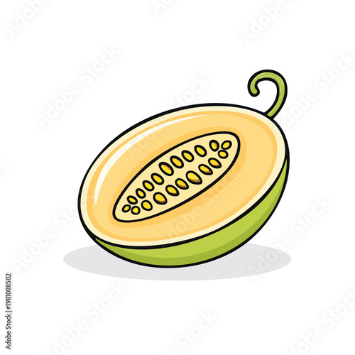 Half ripe honeydew melon with green rind and juicy yellow flesh cut open