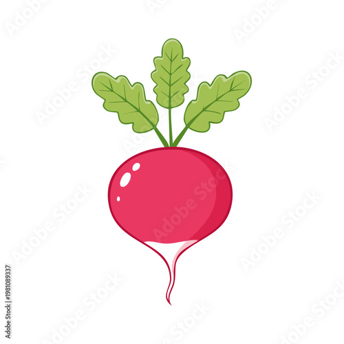 Vibrant cartoon radish with green leaves and a white background
