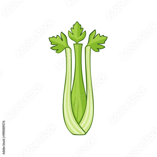 Fresh Green Celery Stalk with Leaves Healthy Vegetable Illustration