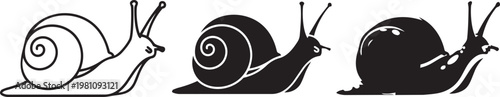 Three snails illustration in different positions with line art illustration crawling graphics invertebrate gastropod movement position