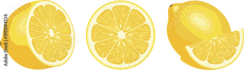 Lemon Slices and Whole Lemon Illustration Set Showing Cross-Section, Halved, and Whole Fruit for Freshness and Culinary Use