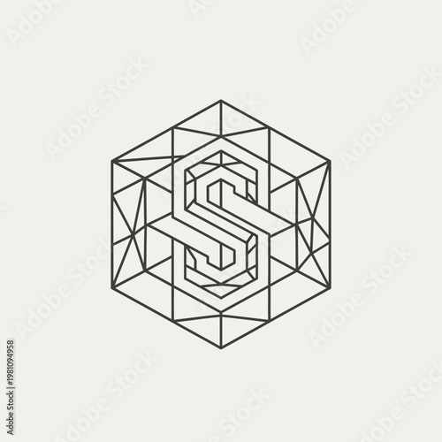 Initial S Geometric Letter Hexagon Outline Logo Design on Isolated White Background