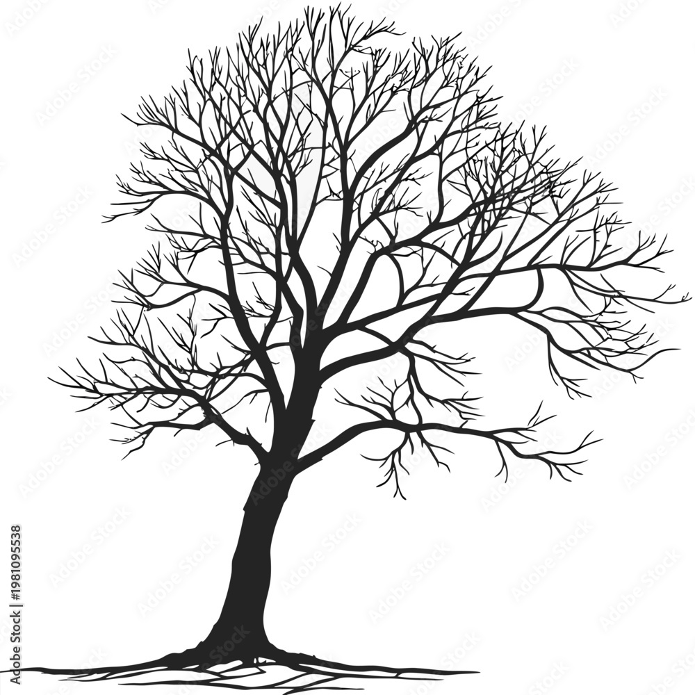 Obraz premium Ornate black and white illustration of an upright bare tree with many leafless