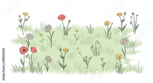 Colorful flowers in a field.