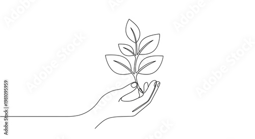 Hand holding small green plant sprout.