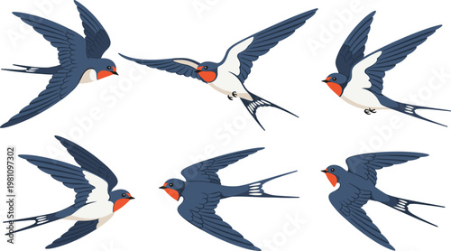 Graceful barn swallows in dynamic flight illustration showing elegant wing positions, soaring birds with blue feathers, white underparts, and orange throats symbolizing freedom and migration