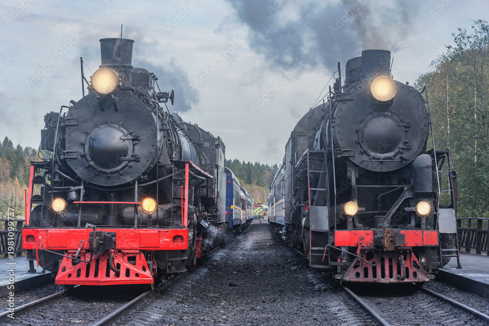 Naklejka premium Steam retro trains stand by the platforms. 