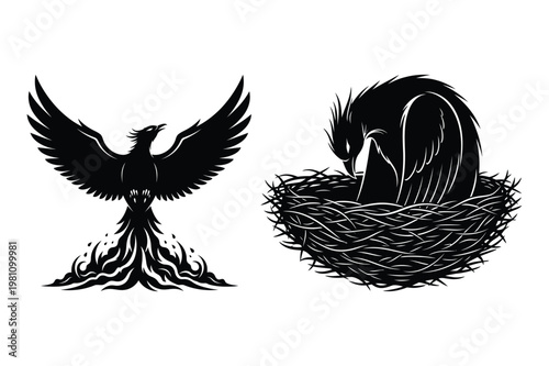 Mythical phoenix rising from flames and a baby bird in a nest with mythology