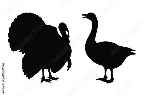 Silhouette illustration of a turkey and a goose standing, black and white