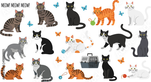 Large Set of Flat Cartoon Cat Characters in Various Poses Featuring Tabby Ginger Black and Tuxedo Cats for Pet Shop Graphics and Animal Designs