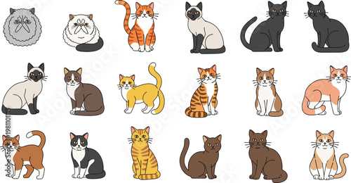 Large Vector Set of Various Cat Breeds Including Persian Siamese Tabby and Calico Kittens in Different Poses for Pet Care Veterinary and Domestic Animal Designs