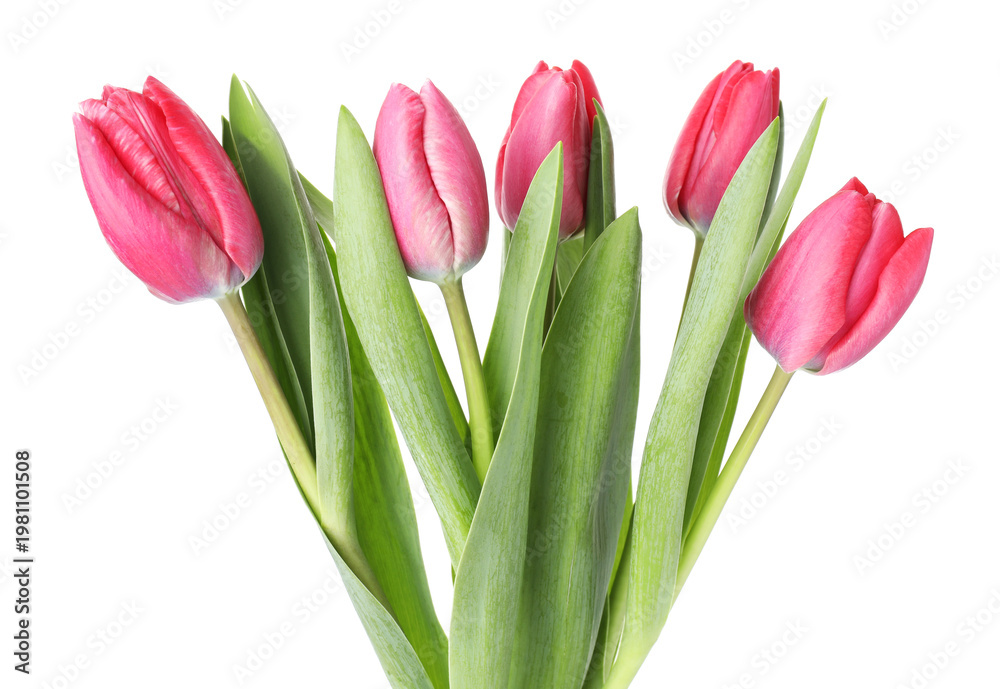 Obraz premium Bouquet of pink tulips isolated on white