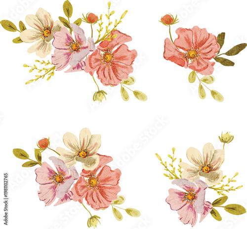 Watercolor cosmos flower arrangement illustration