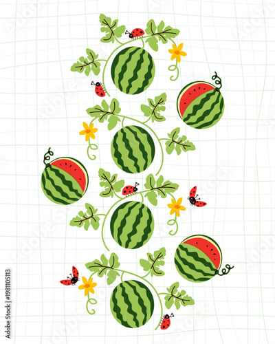 Hand drawn summer poster. Sweet watermelons with red cute insects.