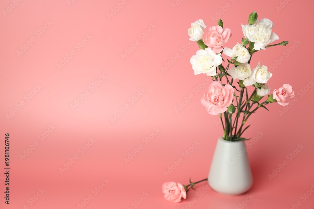 Fototapeta premium Beautiful carnation flowers in vase on pink background, space for text