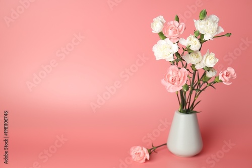 Beautiful carnation flowers in vase on pink background, space for text