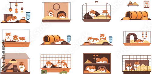 Cute hamster cage interior collection with pet habitat accessories isolated flat vector set for care illustration design