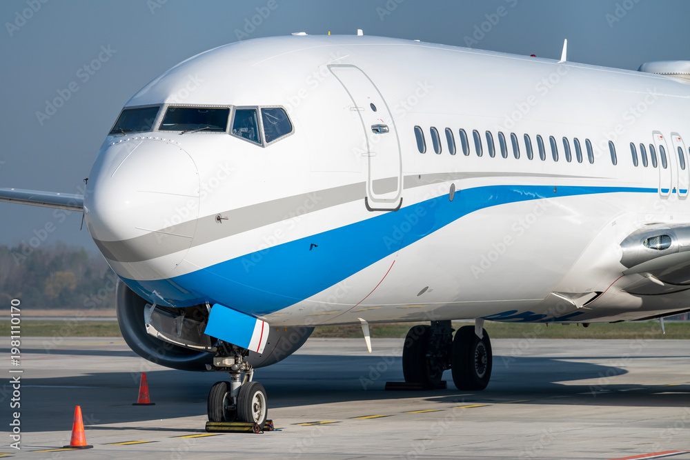 Fototapeta premium Passenger plane.