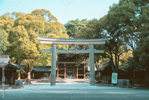 A serene traditional Japanese shrine entrance framed by a large torii gate and surrounding trees, with warm daylight creating a peaceful cultural landscape.