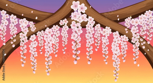 Beautiful Cherry Blossom Branches with Hanging Flowers.