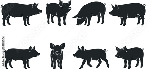 Pig silhouette collection featuring farm animals in various poses, black vector set of swine illustrations isolated on white background for agriculture and livestock design