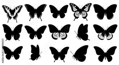 Group Of Butterflies Silhouettes In Flight.