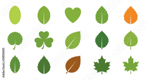 Varied Leaves In A Colorful Close Up.