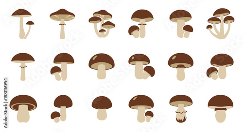 Mushroom Cluster Portrait Focus On Cap.