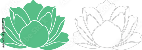 Two lotus flower one solid green one outline white