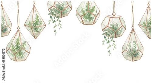 Collection of hanging watercolor terrariums with succulents and ferns, plants.