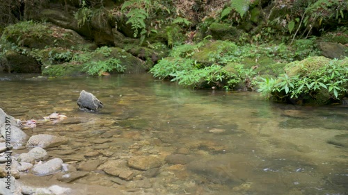 4K Clear Shallow Stream Flowing Over Rocky Riverbed Near Mossy Green Bank