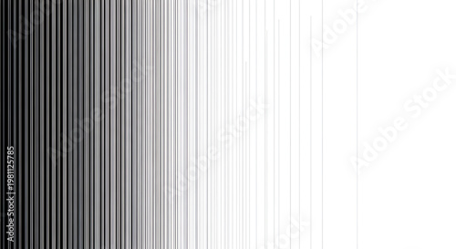 A gradient of vertical lines transitions from dense black to pure white, creating a visually striking effect.