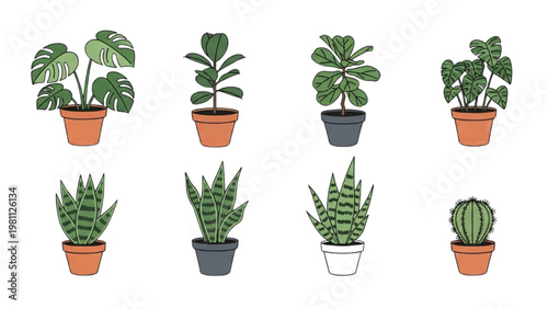 Various plants in pots are arranged vector 2D CAD style for gardening