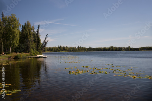 lake in the park