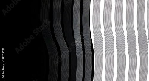 A striking abstract image features a gradient transition from black to white, composed of undulating, parallel lines creating a dynamic and visually engaging pattern.