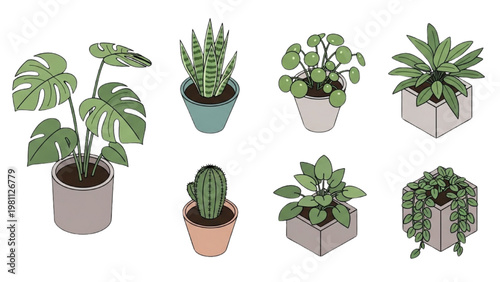 Vector 2D CAD illustration of various plants in pots on a shelf indoors