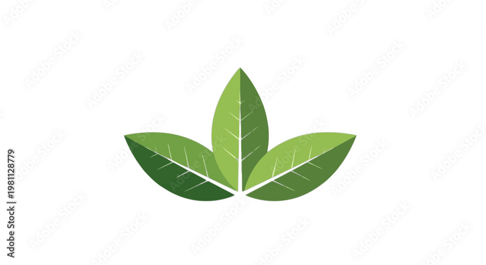 Fototapeta premium Stylized illustration of four green leaves arranged in a symmetrical pattern isolated on transparent background, Vector