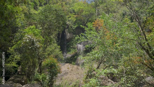 4K Hidden Waterfall Cascading Over Rocks in Dense Green Forest