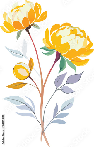 Modern botanical poster art yellow peonies garden, flat transparent vector digital gouache graphic floral illustration, yellow flowers asset pop modern art poster card decoration, textile, pattern